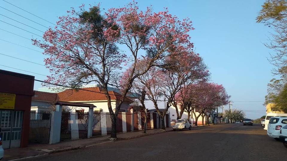 Santo Antônio das Missões Rio Grande do Sul fonte: www.radiomissioneira.com