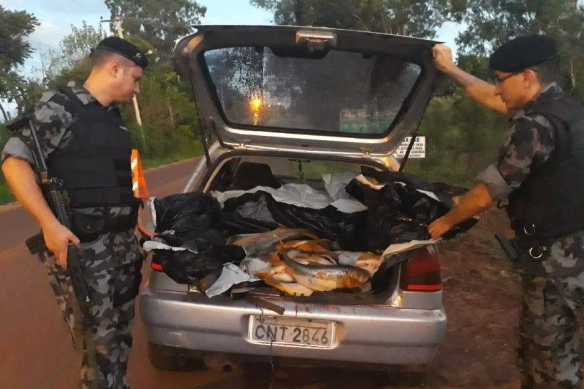 Policiais apreenderam mais de 100kg de peixe. Fotos: 14° BPM