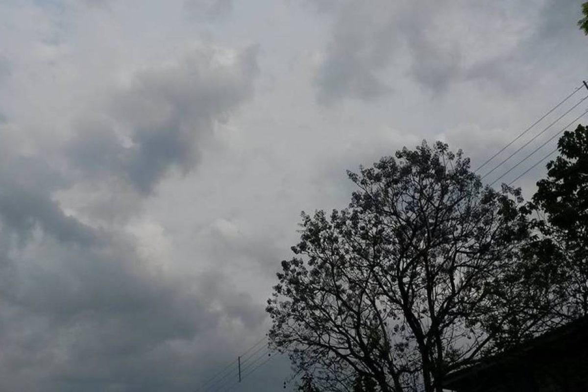 Foto: Rádio Missioneira
