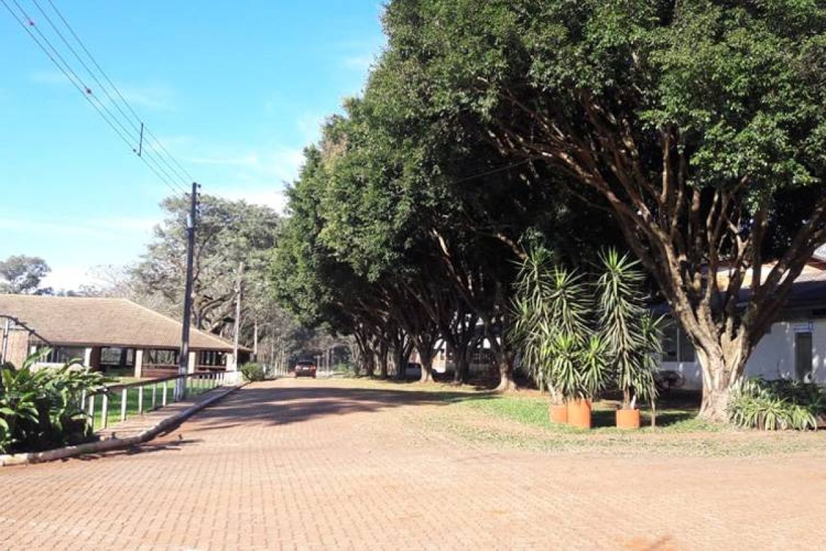 Foto: divulgação Expo São Luiz