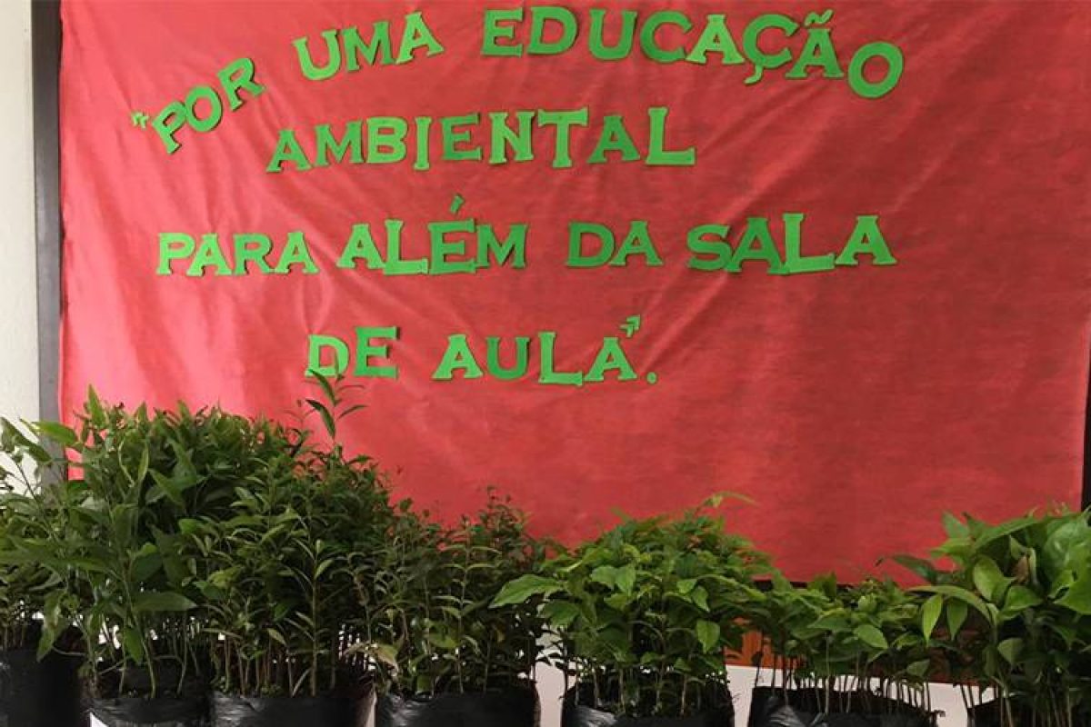 base imagem destacada