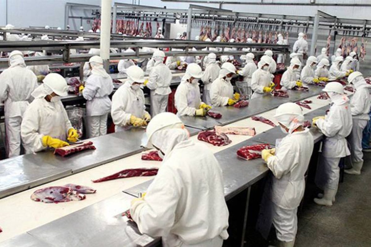 Com alta demanda do exterior, comércio de carne está aquecido. Foto: Anutec Brasil