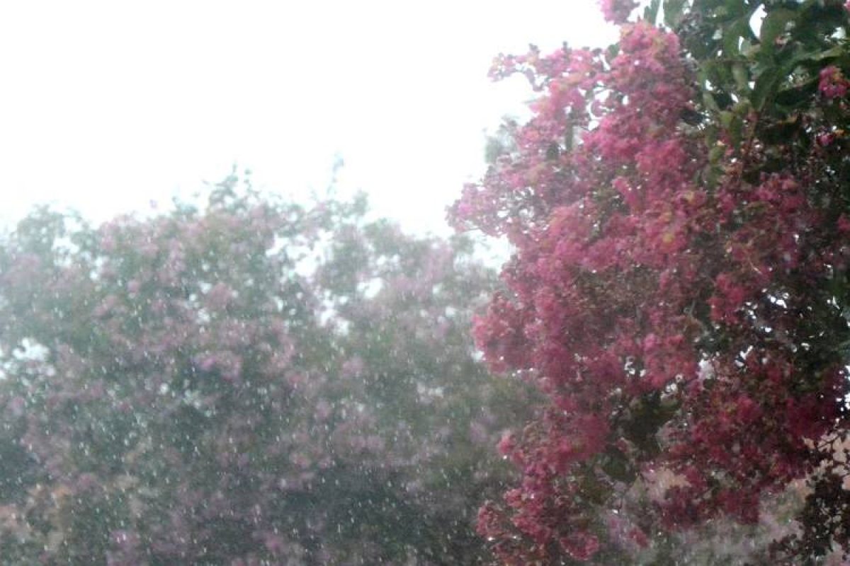Chuva 1