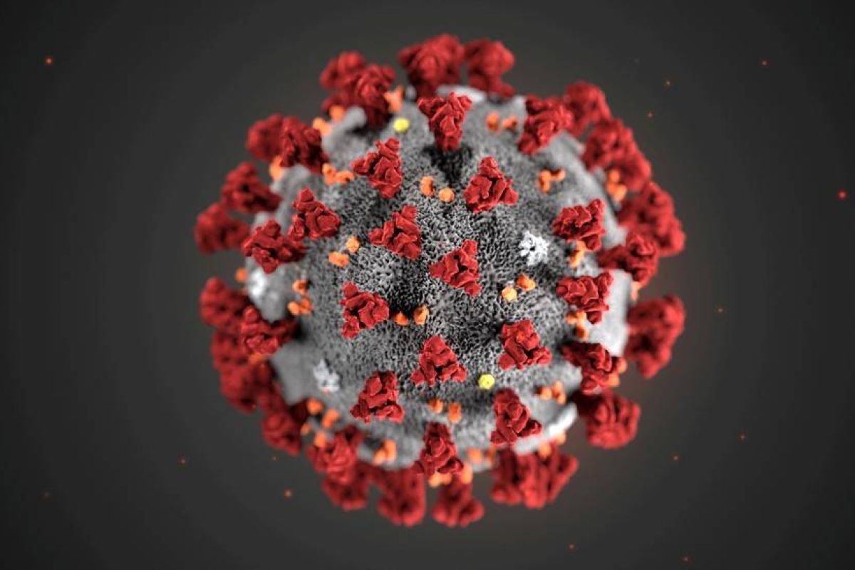coronavirus-4-