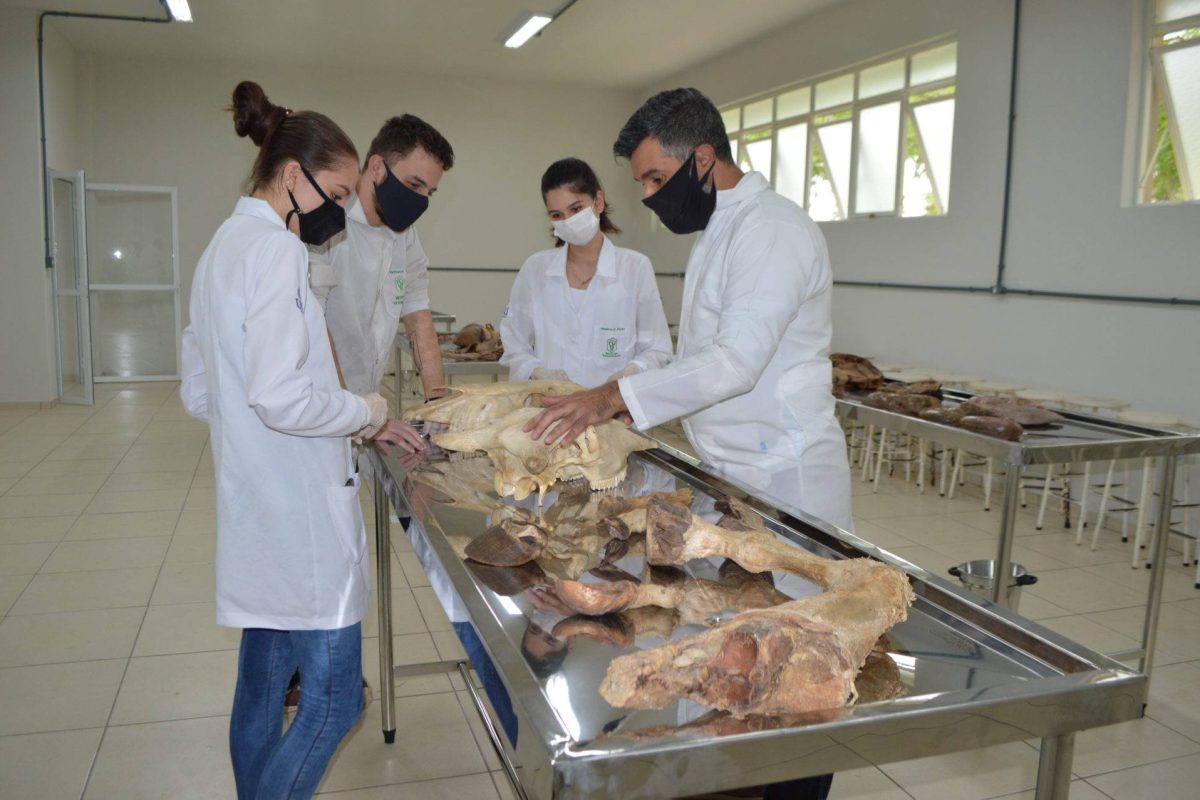 Lab Anatomia - prof Carlos e estudantes