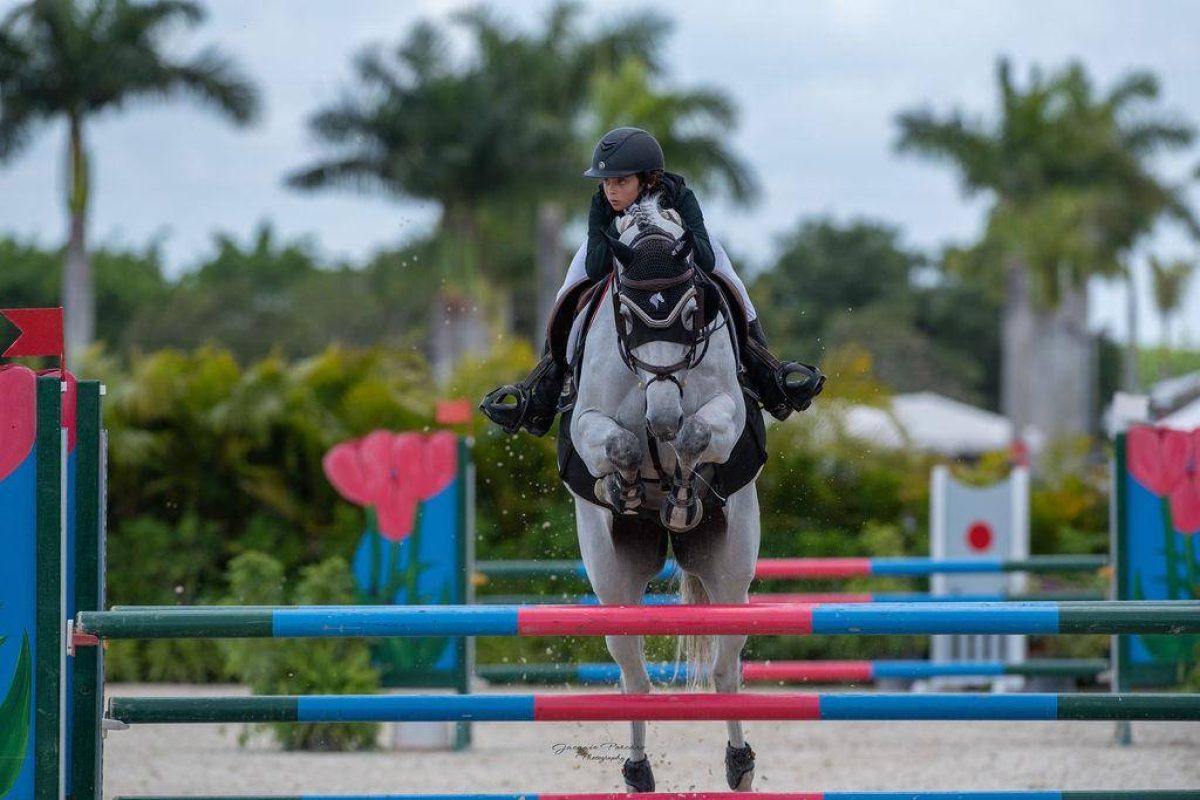 g_135_1_4_04042023085423