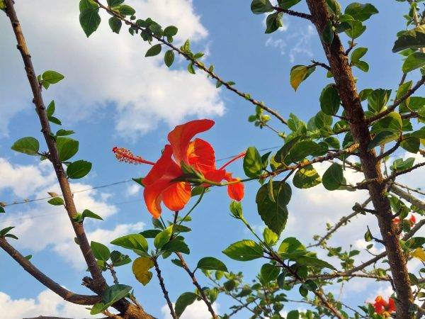 Sol predomina e temperatura já chega aos 20°C nesta quarta-feira