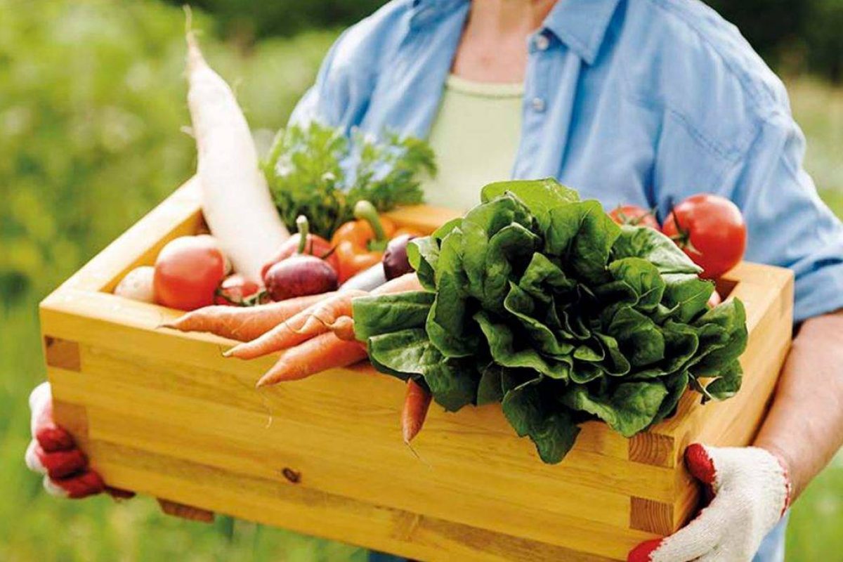 AGRICULTURA-FAMILIAR-78.2-1140x694