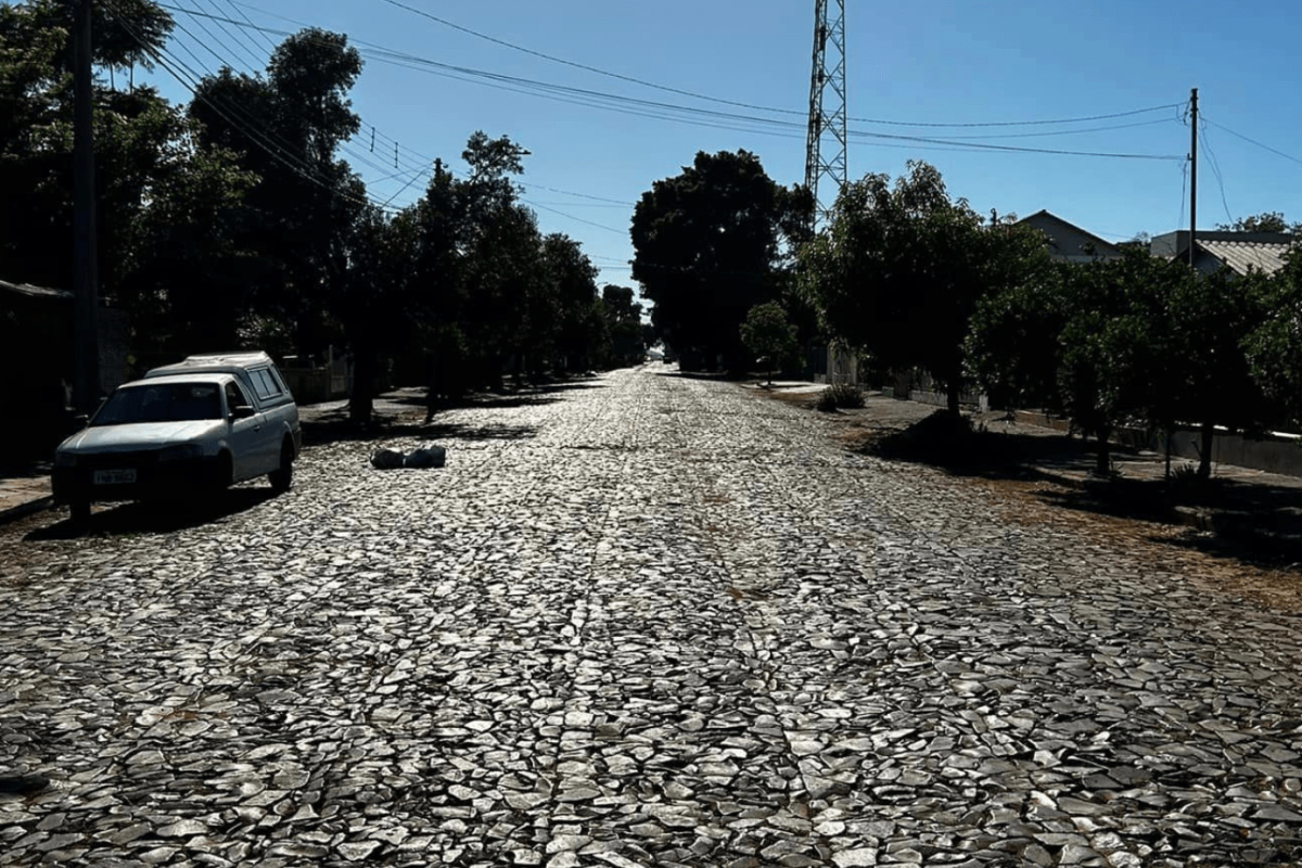 formato site (40)