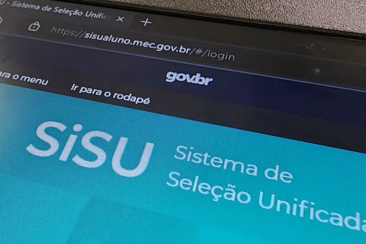 sisu
