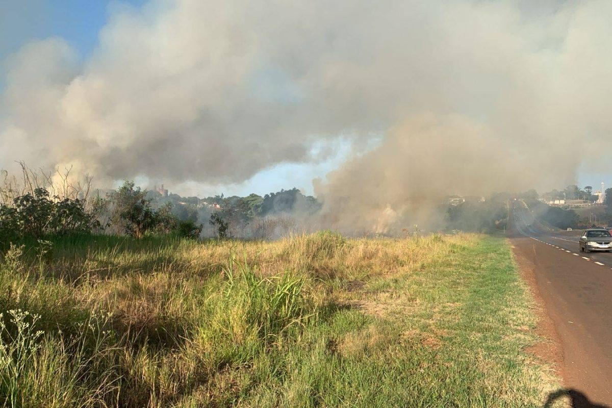 Incêndio mato 285 1