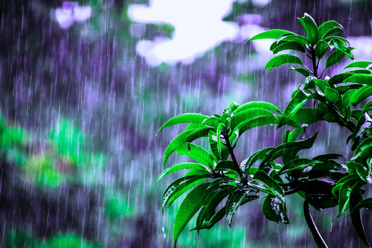 Chuva