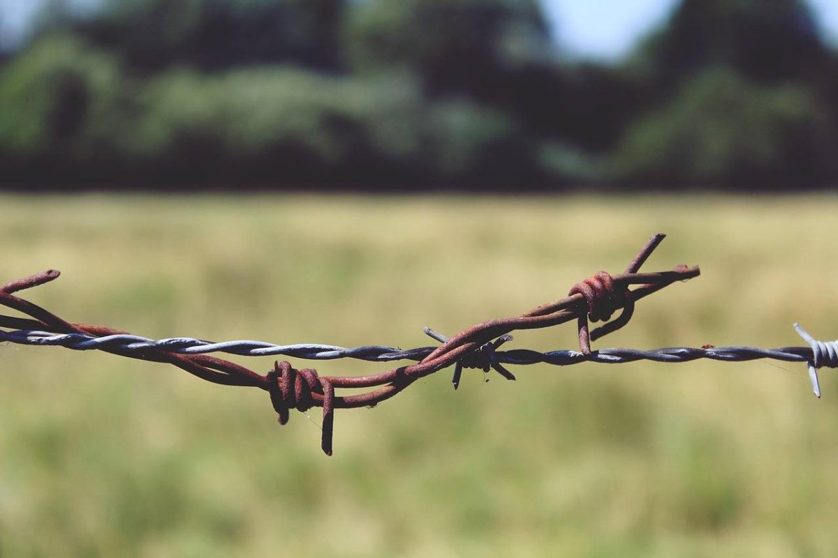 barbed-wire-887276_1280
