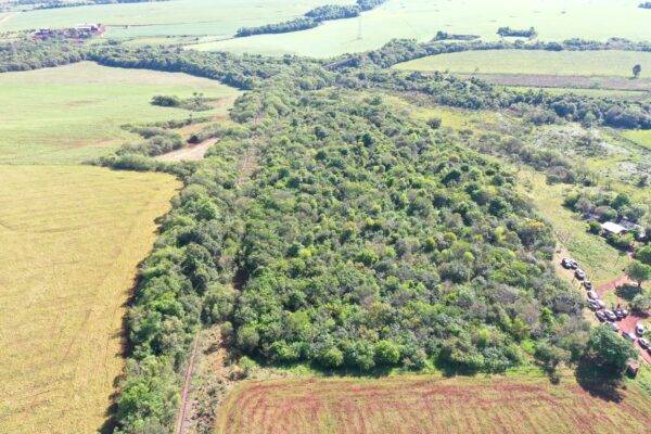 Antigo aterro se transforma em parque ambiental após projeto de recuperação