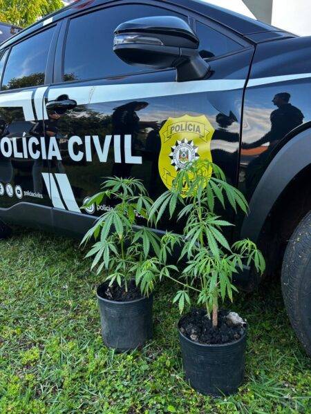 Maior operação policial já realizada em São Paulo das Missões mira grupo suspeito de tráfico de drogas